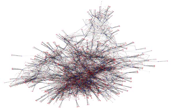 Pollination Networks